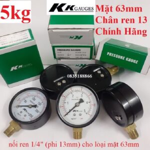 đồng hồ đo áp suất hơi