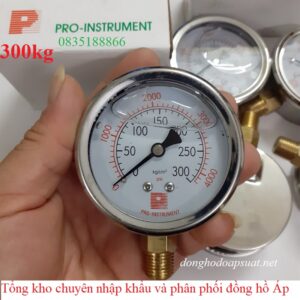 Đồng hồ đo áp suất Pro-instrument