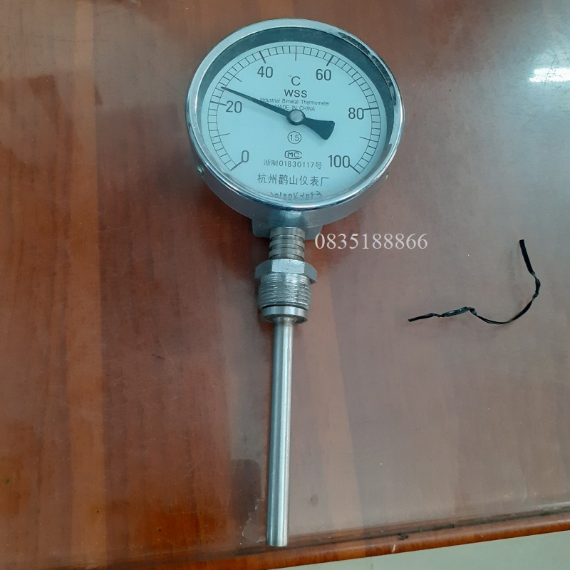 đồng hồ đo nhiệt độ WSS Trung Quốc