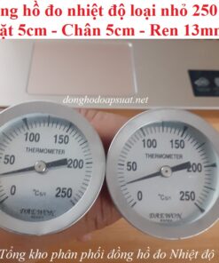 Đồng hồ đo nhiệt độ tại Kiên Giang