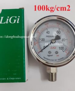 đồng hồ đo áp suất 100kg