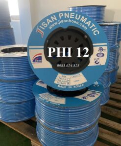 day hoi khi nen jisan han quoc phi 12